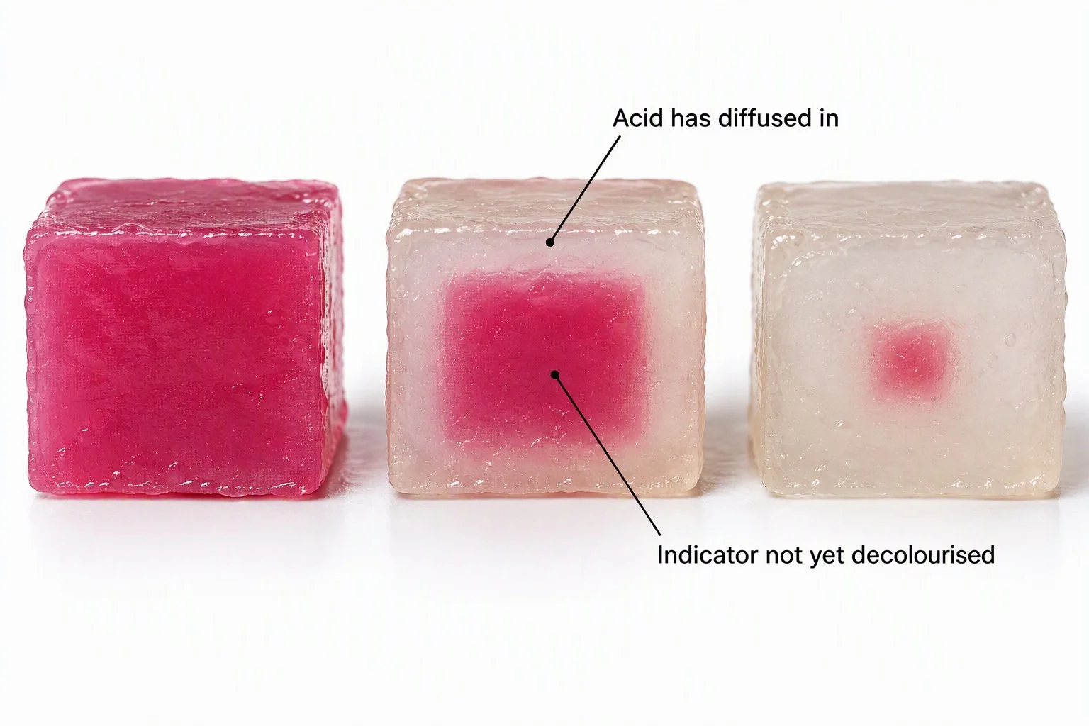 Models of diffusion