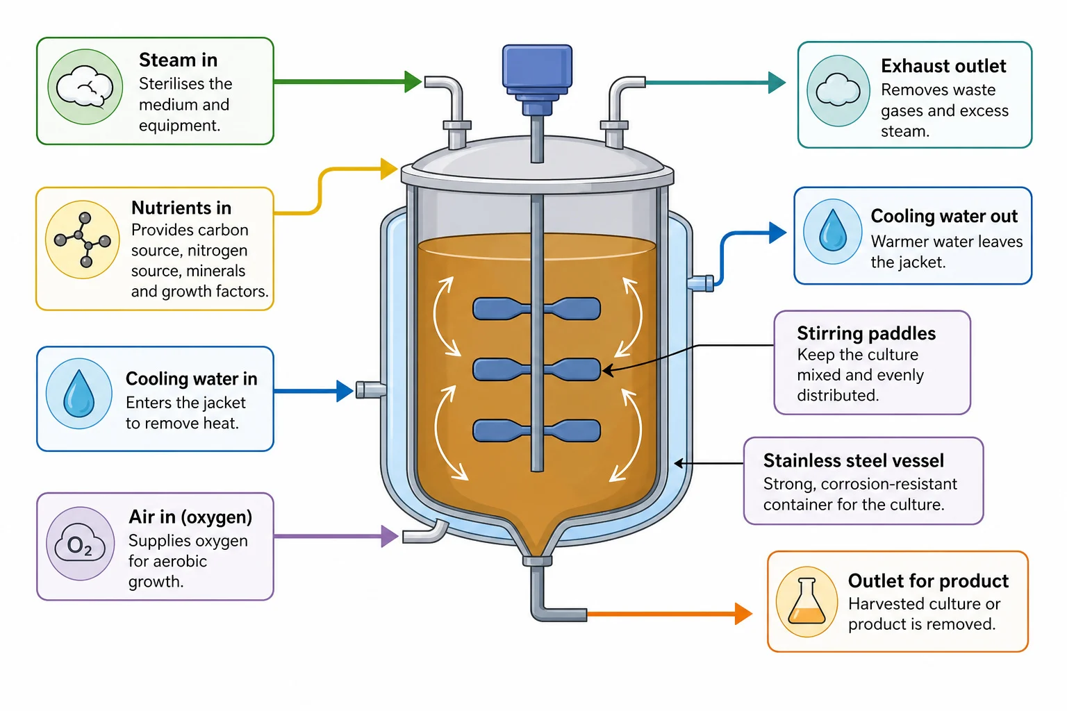 Industrial fermenter with temperature control, air supply and stirring