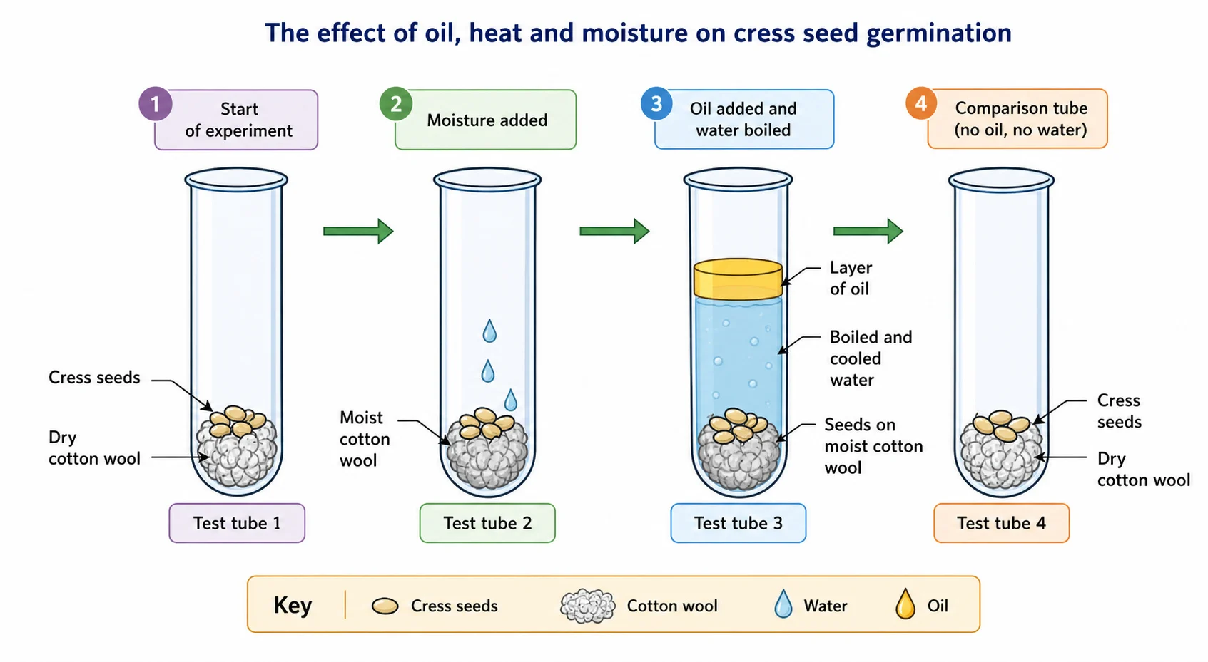 Cress seed germination under different water, oxygen and temperature conditions
