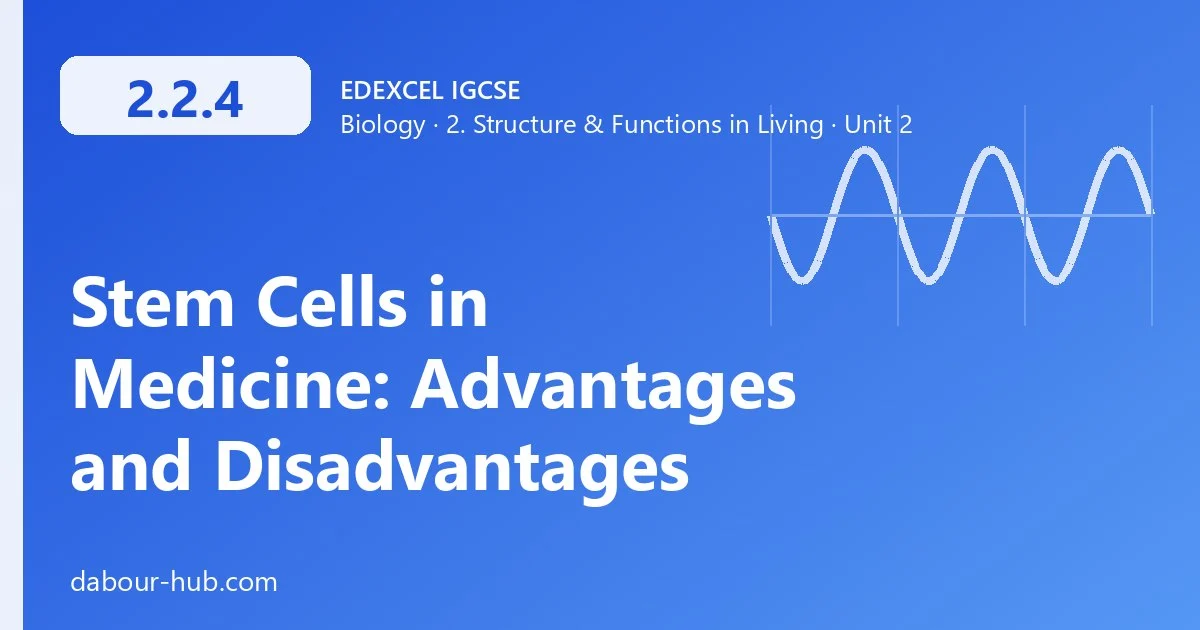 2.2.4 Stem Cells in Medicine: Advantages and Disadvantages