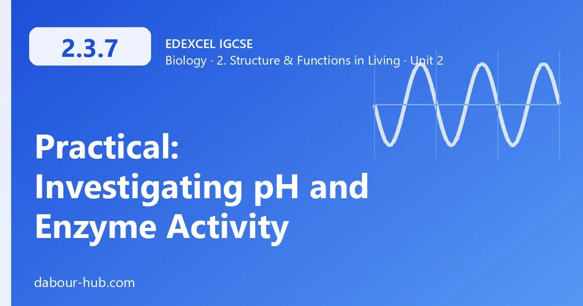 2.3.7 Practical: Investigating pH and Enzyme Activity