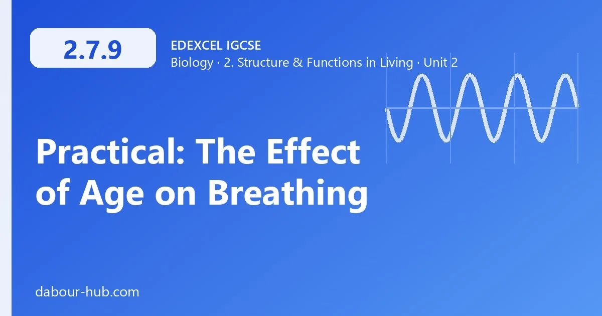 2.7.9 Practical: The Effect of Age on Breathing