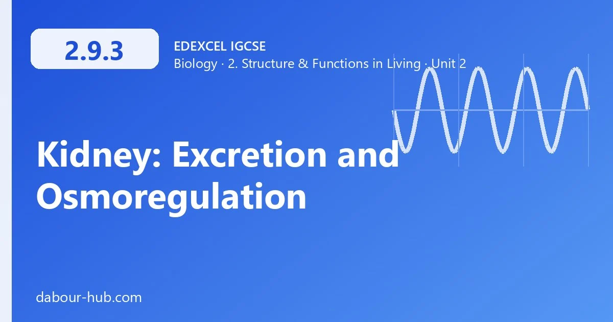 2.9.3 Kidney: Excretion and Osmoregulation