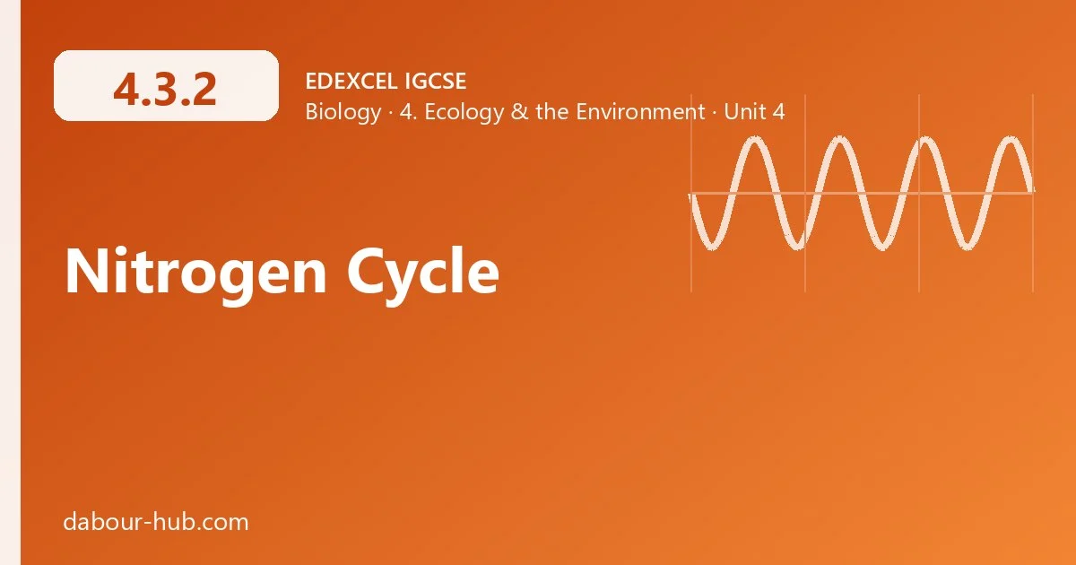 4.3.2 Nitrogen Cycle