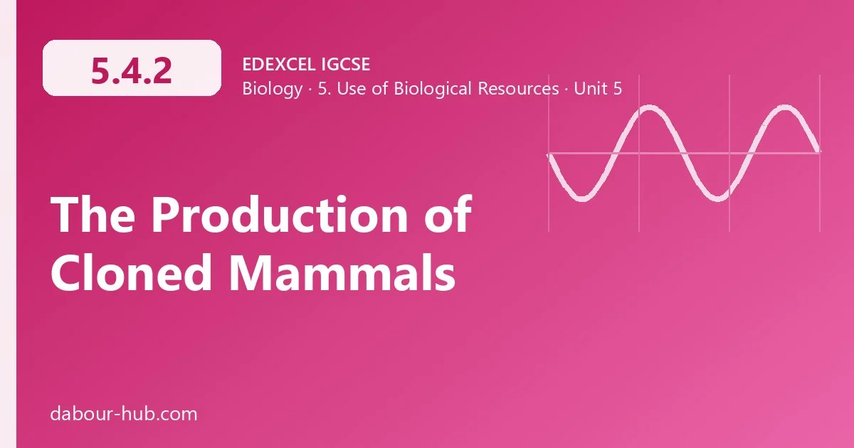 5.4.2 The Production of Cloned Mammals