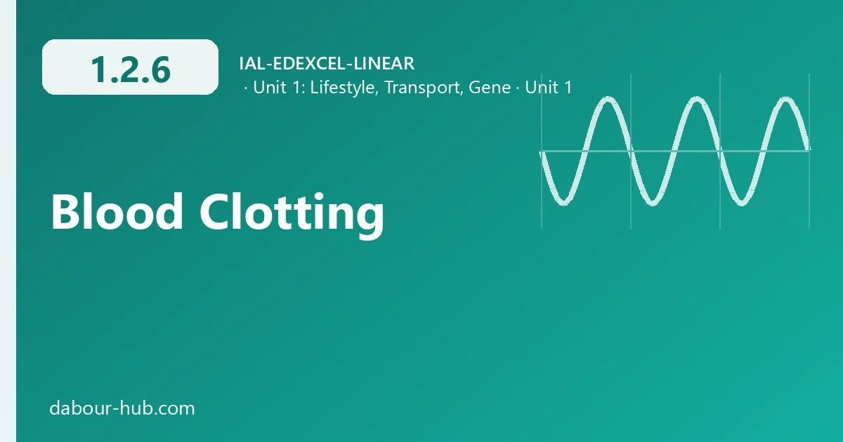 1.2.6 Blood Clotting
