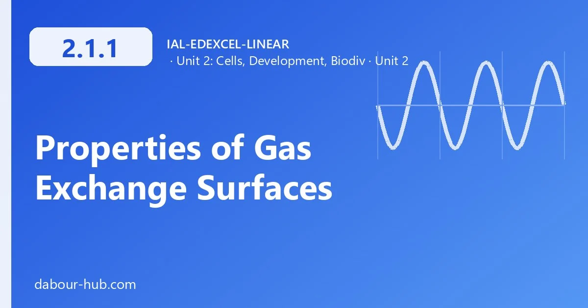 2.1.1 Properties of Gas Exchange Surfaces