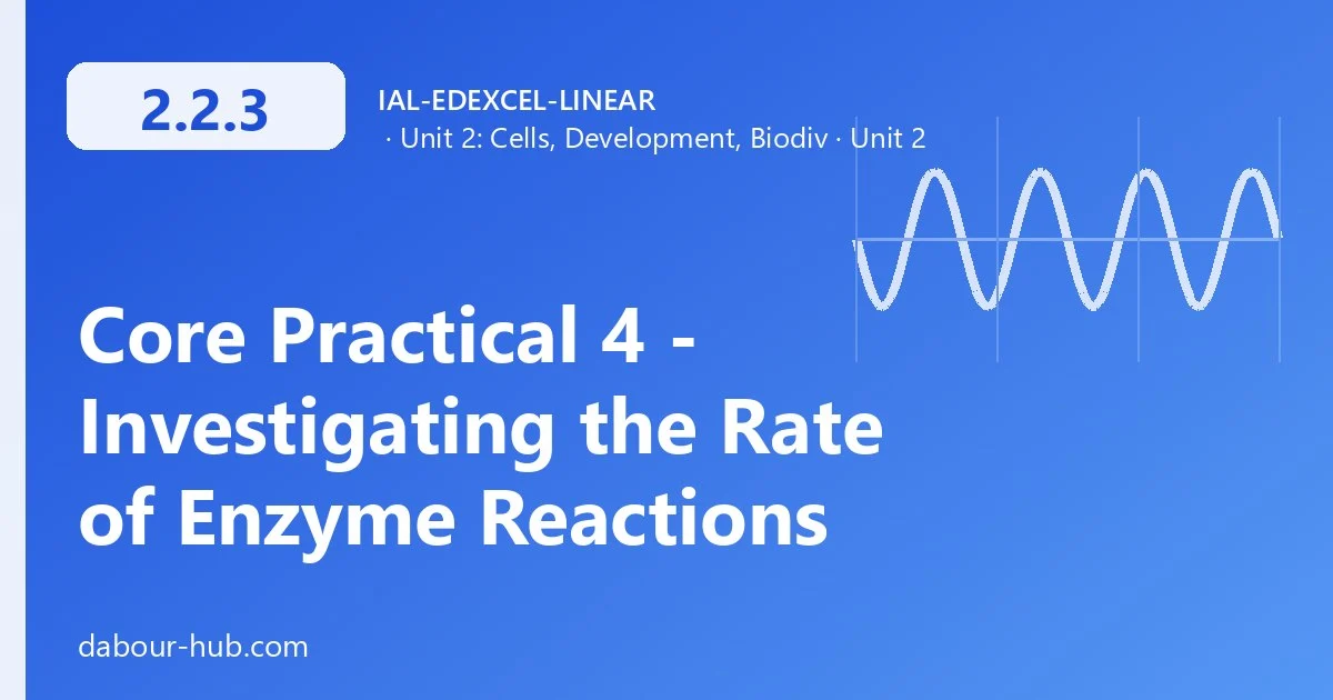 2.2.3 Core Practical 4 - Investigating the Rate of Enzyme Reactions