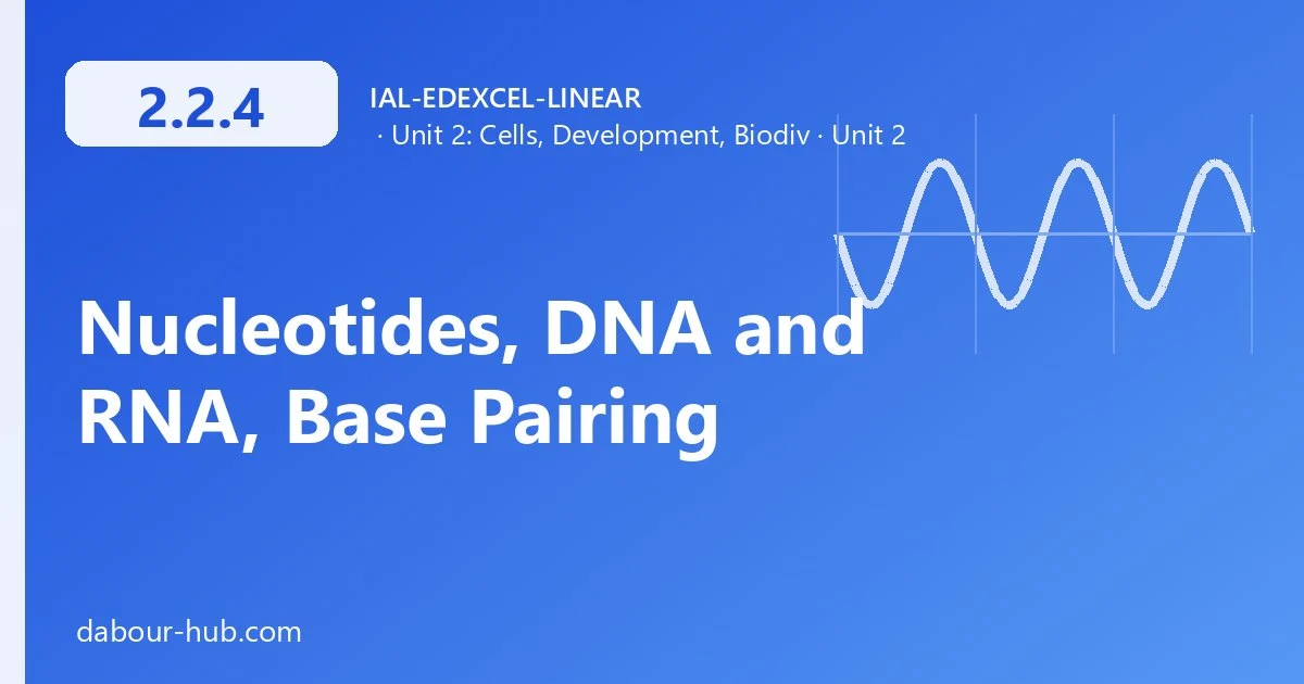 2.2.4 Nucleotides, DNA and RNA, Base Pairing