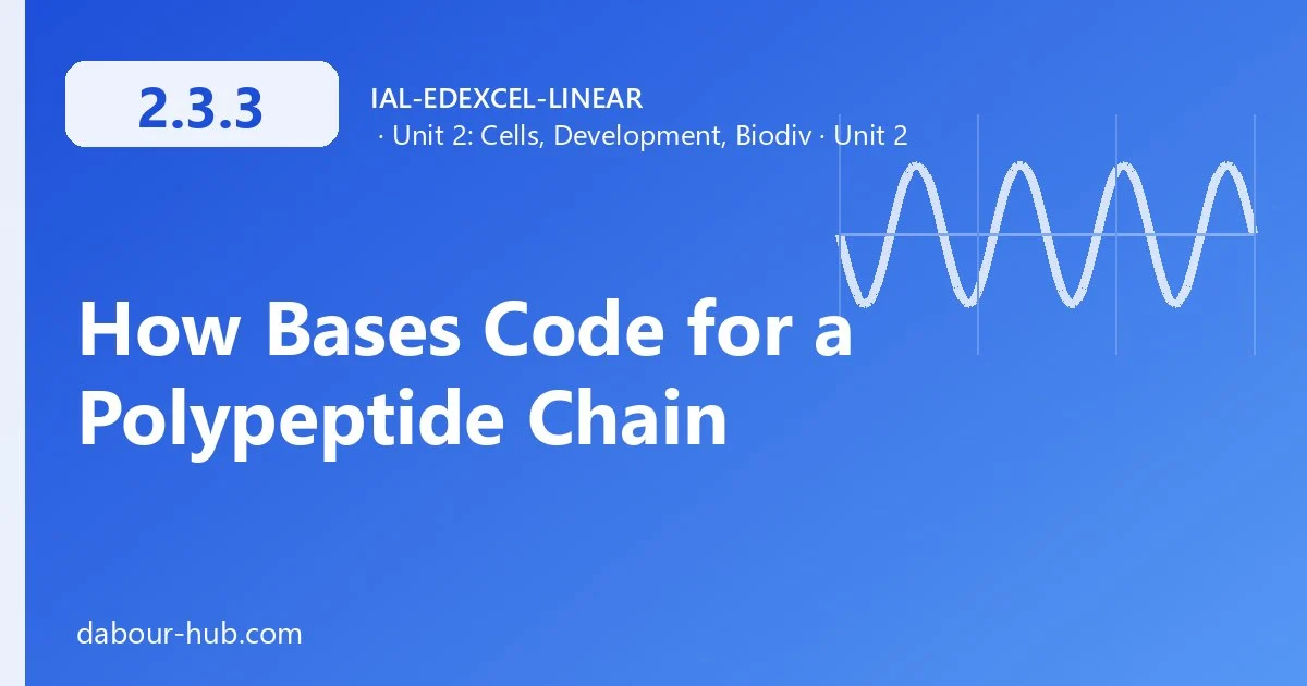 2.3.3 How Bases Code for a Polypeptide Chain