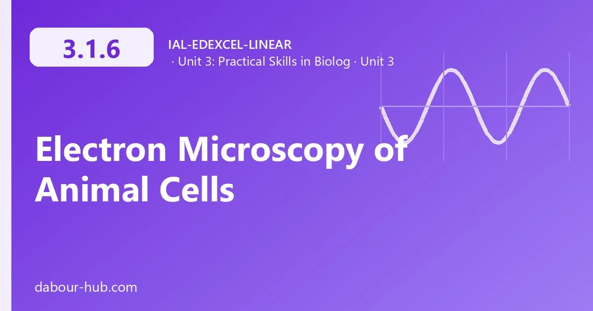 3.1.6 Electron Microscopy of Animal Cells