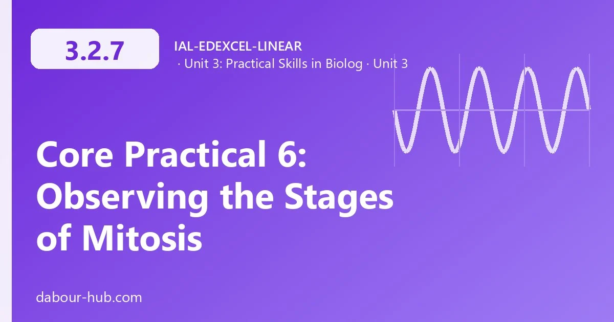3.2.7 Core Practical 6: Observing the Stages of Mitosis
