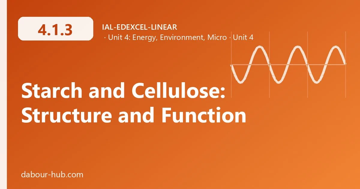 4.1.3 Starch and Cellulose: Structure and Function