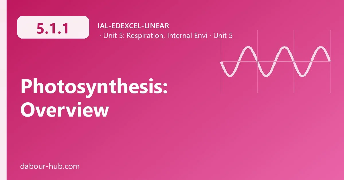5.1.1 Photosynthesis: Overview