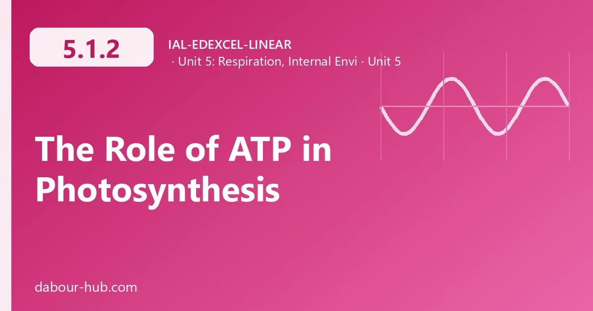 5.1.2 The Role of ATP in Photosynthesis