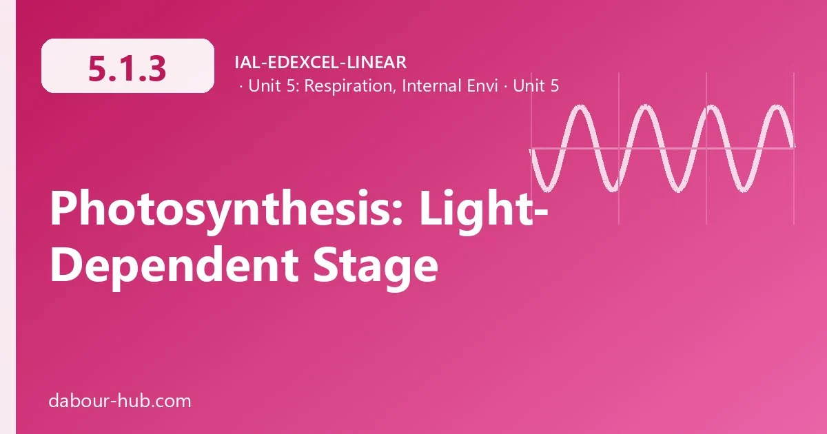 5.1.3 Photosynthesis: Light-Dependent Stage