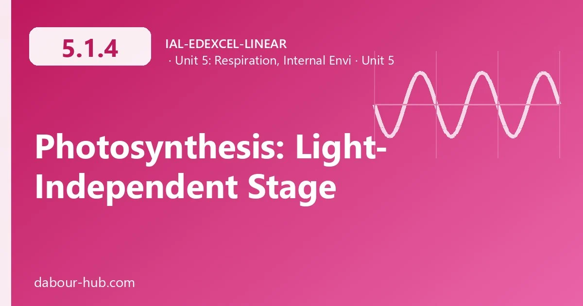 5.1.4 Photosynthesis: Light-Independent Stage