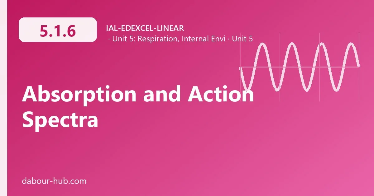 5.1.6 Absorption and Action Spectra
