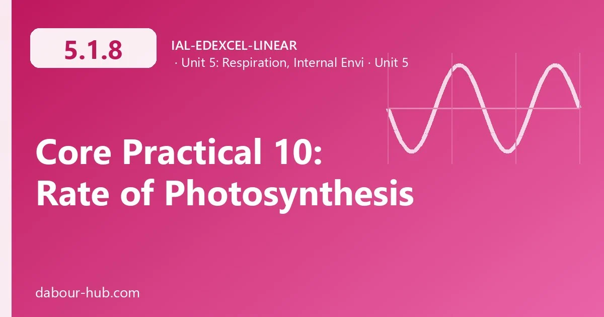 5.1.8 Core Practical 10: Rate of Photosynthesis