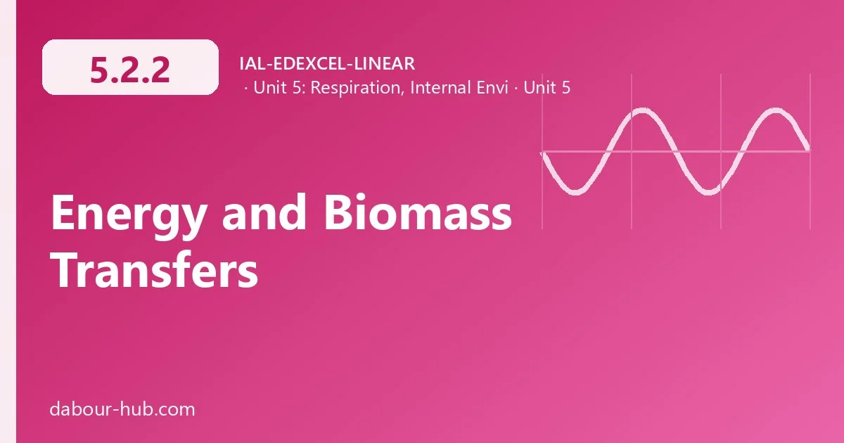 5.2.2 Energy and Biomass Transfers