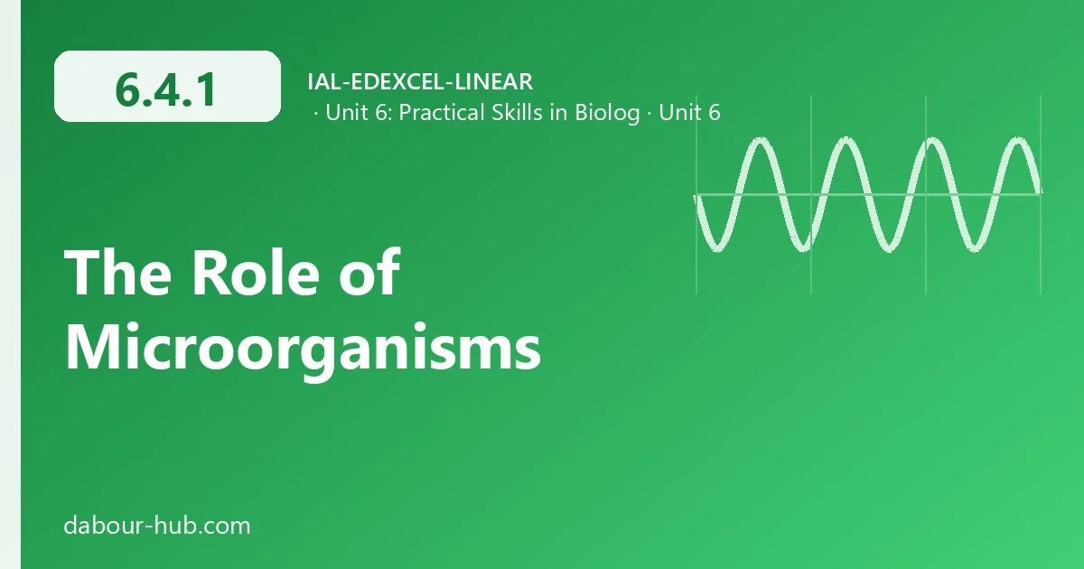 6.4.1 The Role of Microorganisms