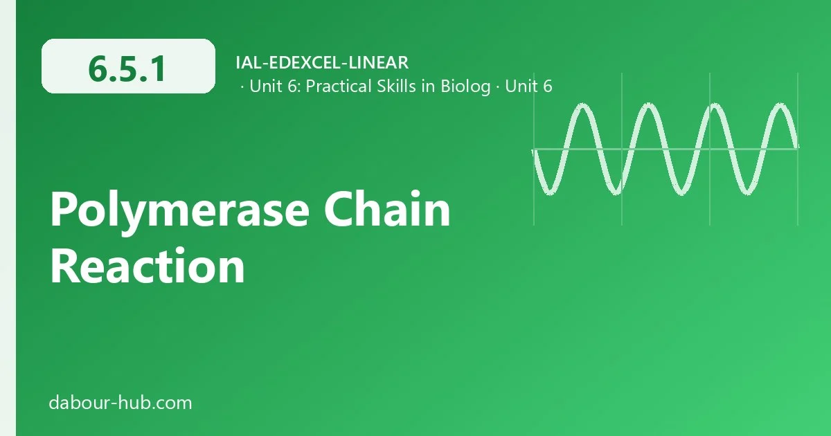 6.5.1 Polymerase Chain Reaction