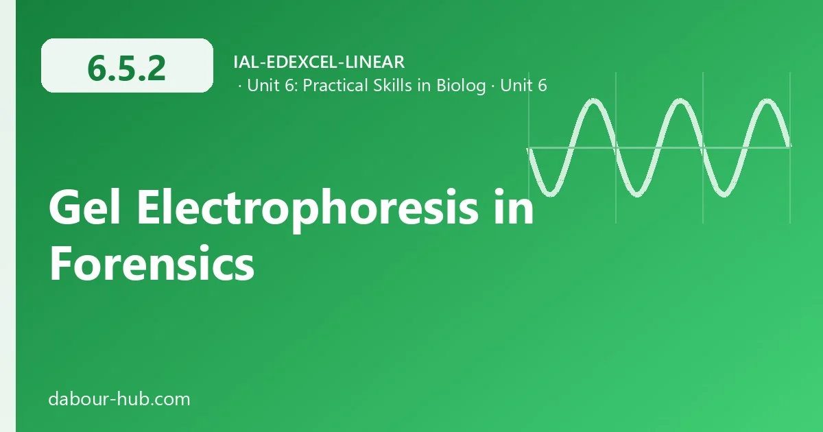 6.5.2 Gel Electrophoresis in Forensics