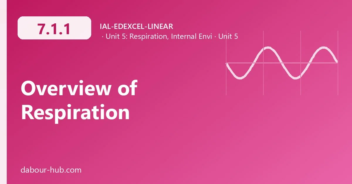 7.1.1 Overview of Respiration