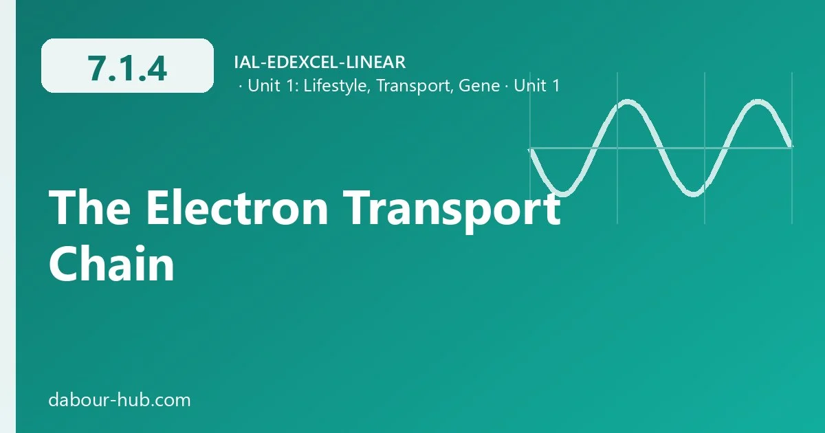 7.1.4 The Electron Transport Chain