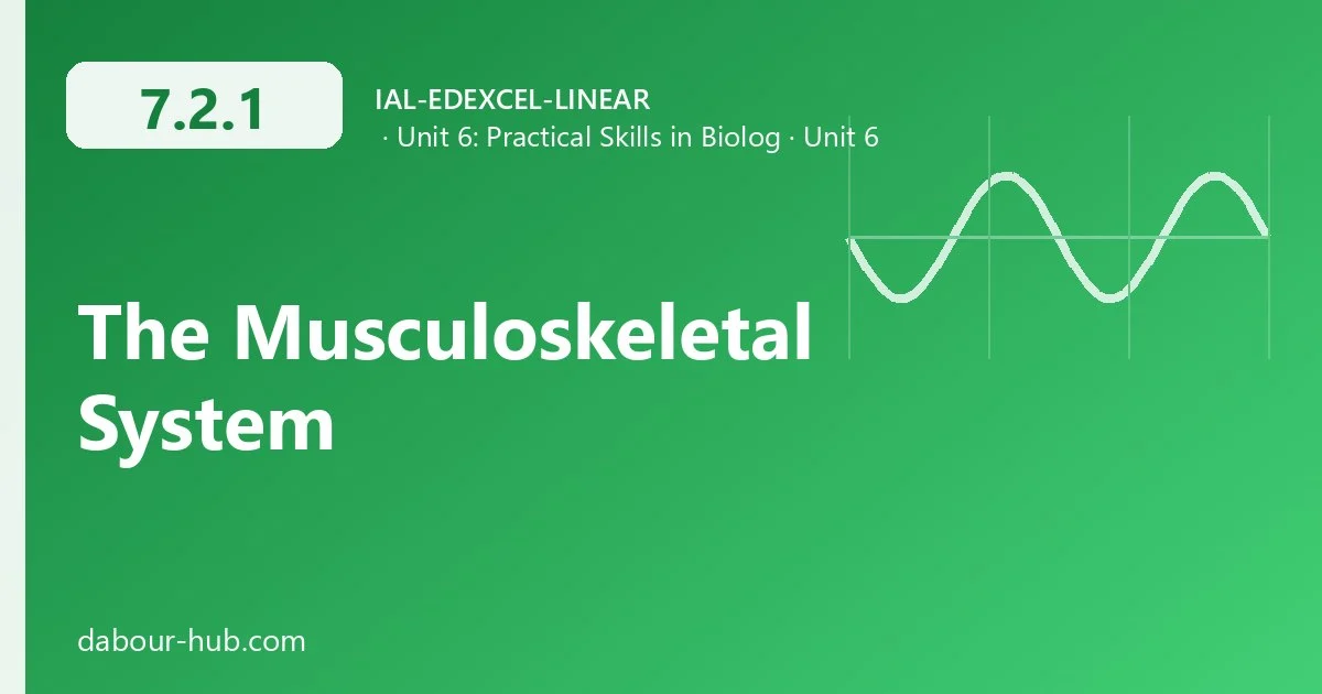 7.2.1 The Musculoskeletal System