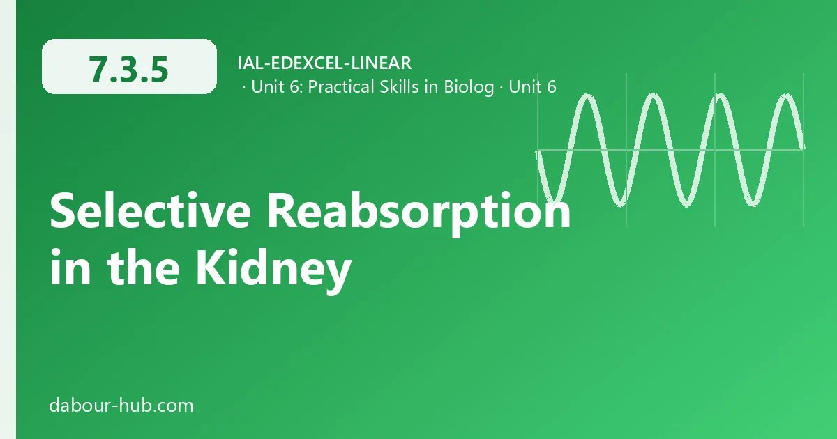 7.3.5 Selective Reabsorption in the Kidney