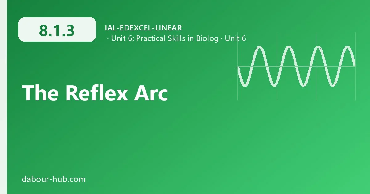 8.1.3 The Reflex Arc