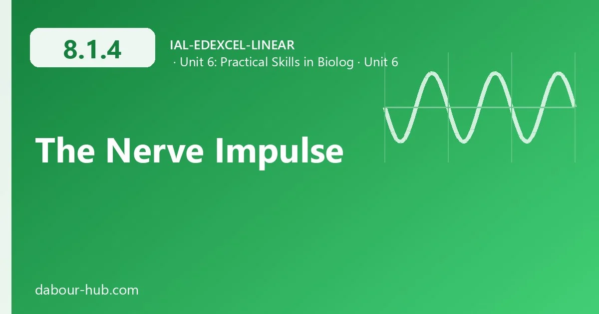 8.1.4 The Nerve Impulse