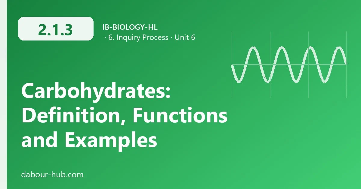2.1.3 Carbohydrates: Definition, Functions and Examples