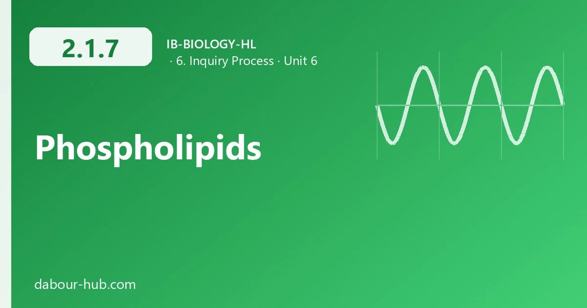 2.1.7 Phospholipids