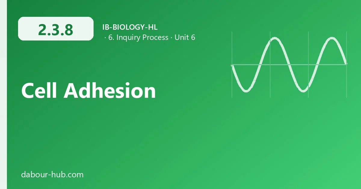 2.3.8 Cell Adhesion