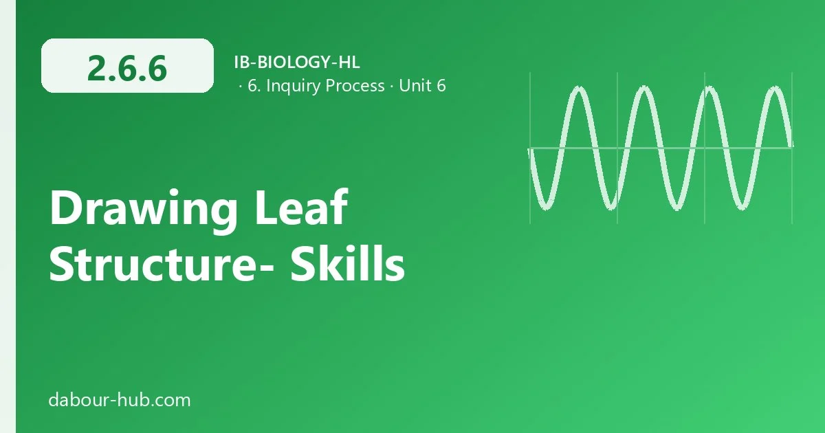 2.6.6 Drawing Leaf Structure- Skills