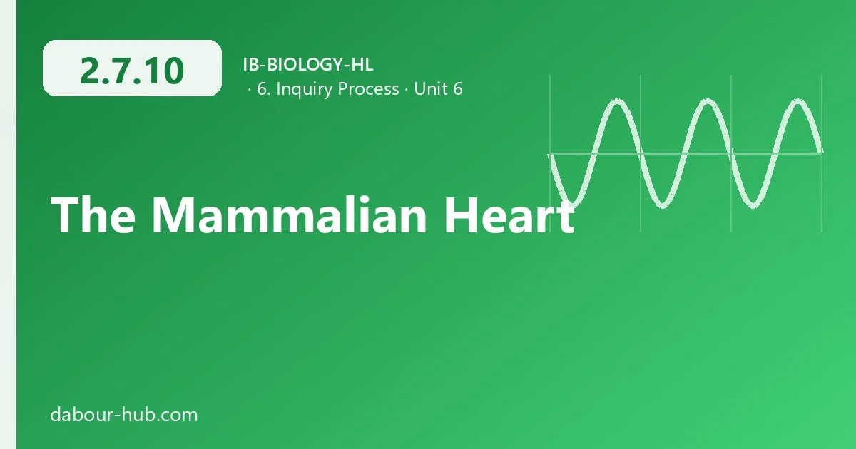 2.7.10 The Mammalian Heart