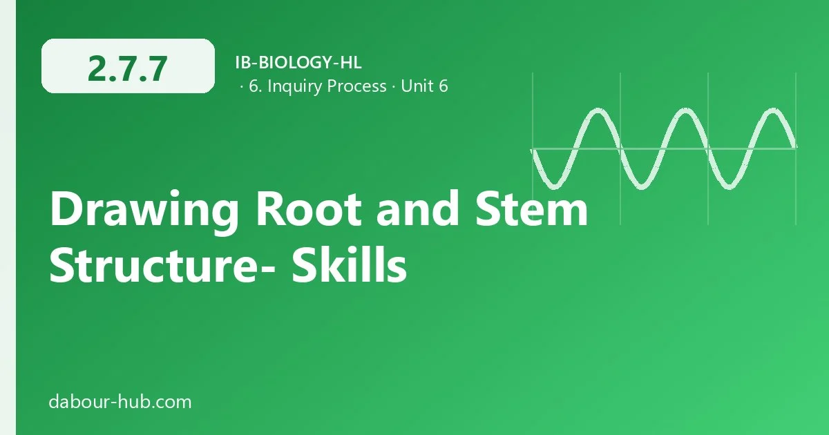 2.7.7 Drawing Root and Stem Structure- Skills