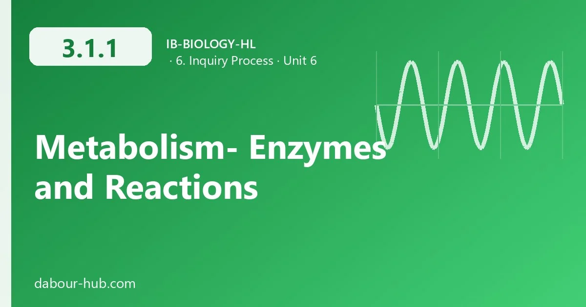 3.1.1 Metabolism- Enzymes and Reactions