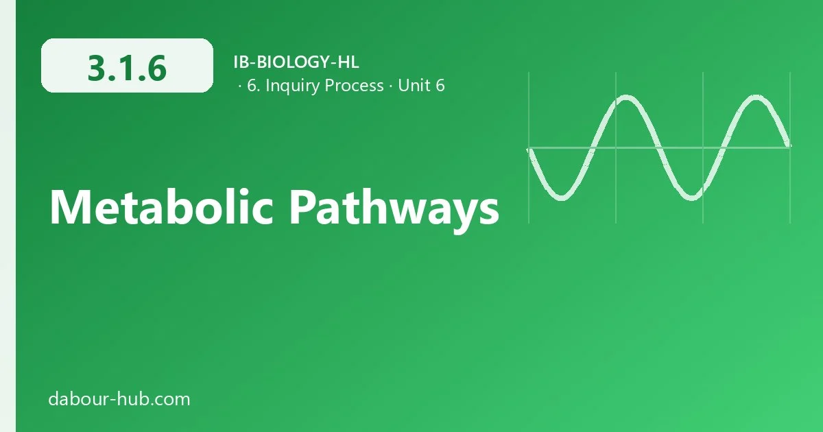 3.1.6 Metabolic Pathways