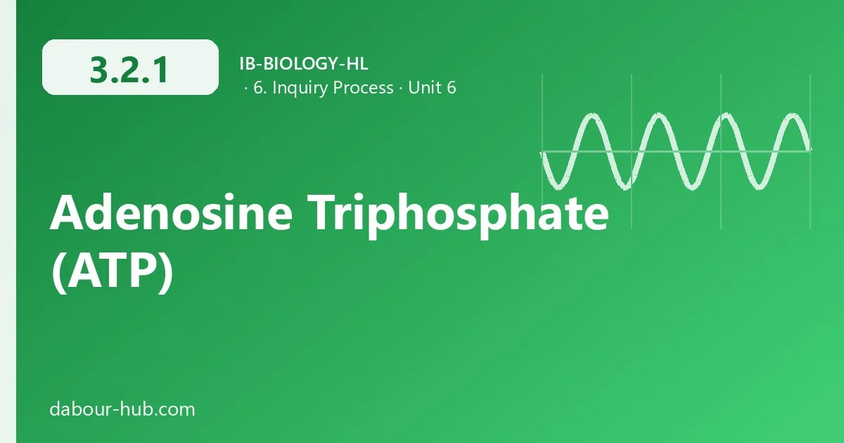3.2.1 Adenosine Triphosphate (ATP)