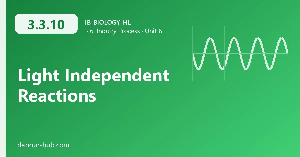 3.3.10 Light Independent Reactions
