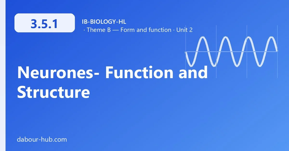 3.5.1 Neurones- Function and Structure