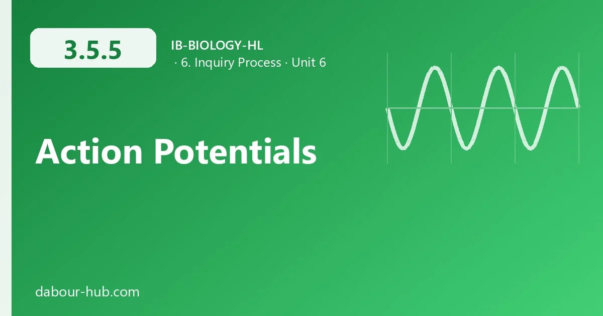 3.5.5 Action Potentials