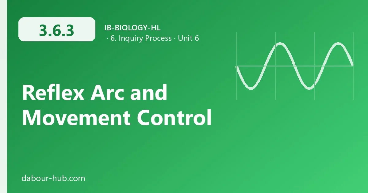 3.6.3 Reflex Arc and Movement Control