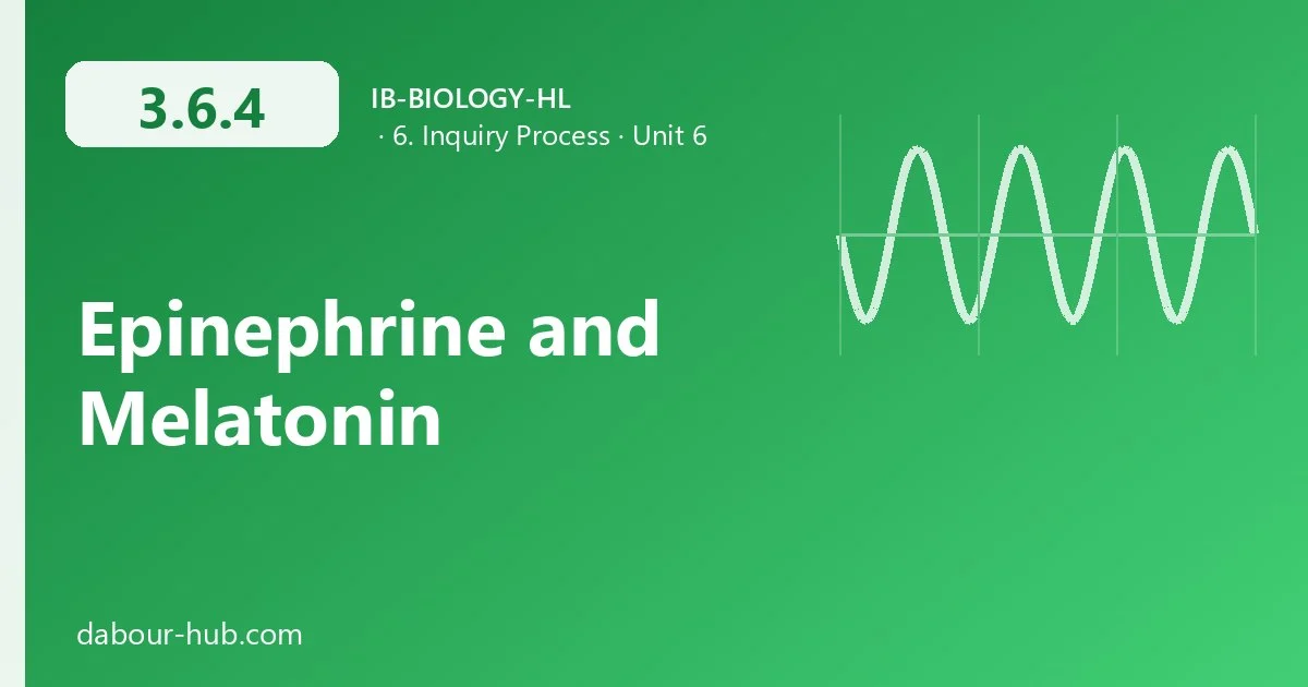 3.6.4 Epinephrine and Melatonin