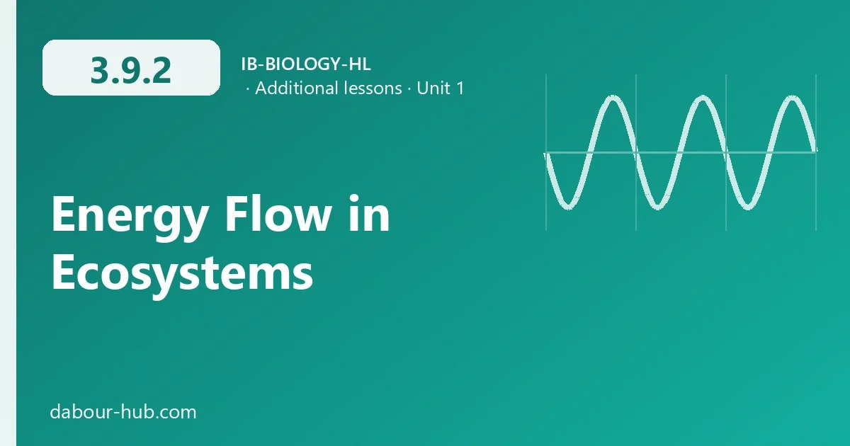 3.9.2 Energy Flow in Ecosystems