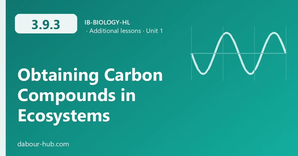 3.9.3 Obtaining Carbon Compounds in Ecosystems