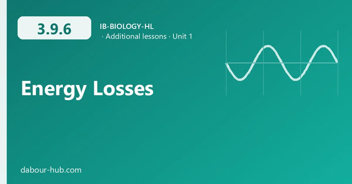 3.9.6 Energy Losses
